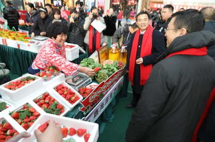 2019大連草莓文化旅游節(jié)暨農(nóng)業(yè)產(chǎn)品博覽會開幕