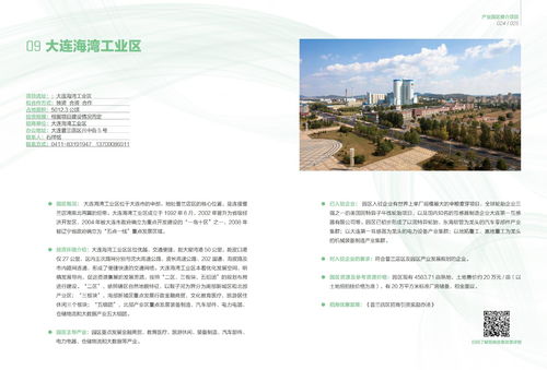 大連市產業園區招商項目推介 二