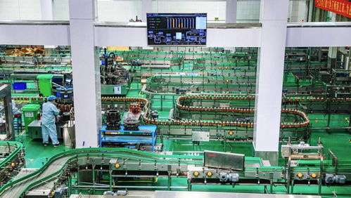 百年膠濟(jì)釋放發(fā)展新動能 淄博與大連產(chǎn)業(yè)的澎湃動力